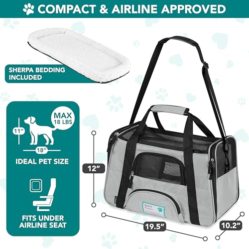 Airline Approved Pet Carrier for Cats & Small Dogs (Light Gray / 19.5"L x 10.2"W x 12.0"H)