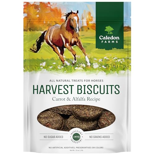 Harvest Biscuits (2 Pound (Pack of 1))
