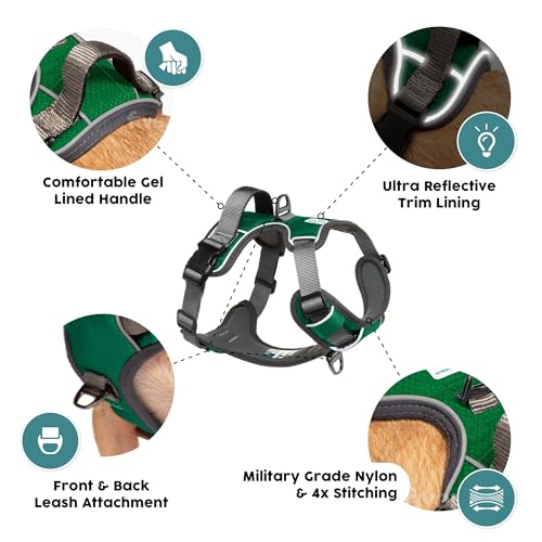 Embark No Pull Dog Harness (XS / Green)
