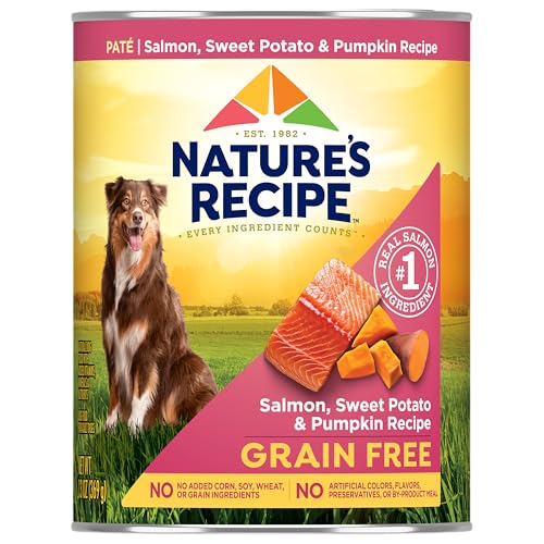 Grain Free Salmon Wet Dog Food