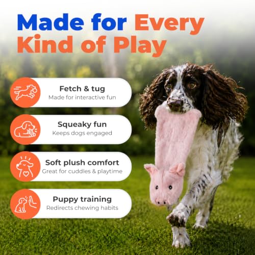 2-in-1 Stuffless Squeaky Dog Toy - Pig, Medium (Pig / Medium)