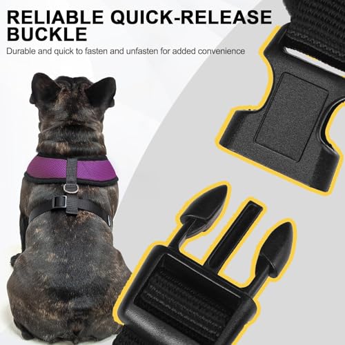 Small Dog Harness (M (NECK: 14", CHEST: 17"-21") / Purple)