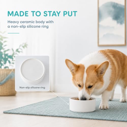 Ceramic Dog Bowls (Matte White)