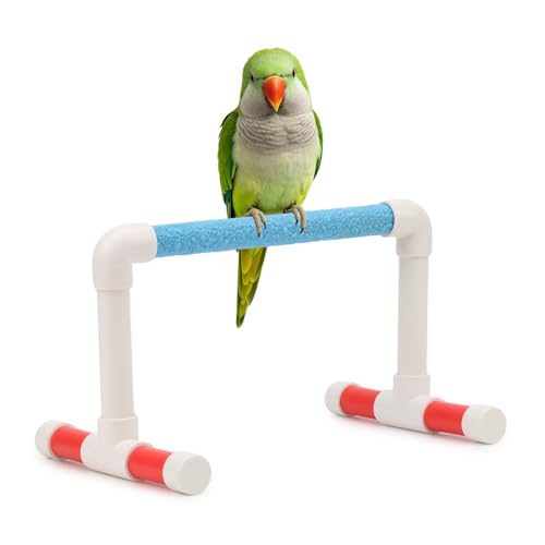 Small Bird Parrot Stand Perch Table Top Stand Playground Grind Perch Swing Training Playstand Exercise Chew Toys for Budgies Parakeet Cockatiel Conure Finch (L)