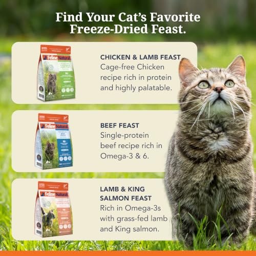 High Protein Freeze Dried Dry Cat Food with 98% Meat (3.5 Ounce (Pack of 1))