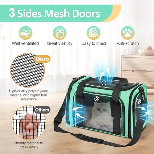 Cat Dog Carrier Up to 15 Lbs TSA Airline Approved Pet Carrier for Small Medium Cats Puppies Dog Carriers for Small Dogs Collapsible Soft Sided Cat Travel Carrier (15.8"L x 10.2"W x 10.2"H / Green)
