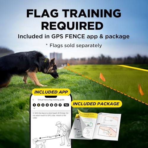 GPS Fence No Subscription (GPS Fence (No Flags))