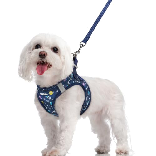 Dog Harness Medium Sized and Leash Set (Navy Space Pups / M (chest: 16 - 18.5"))