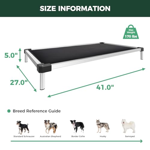 TitanNest Padded Chew (Black / Medium Dog (41.0"L x 27.0"W x 5.0"H))
