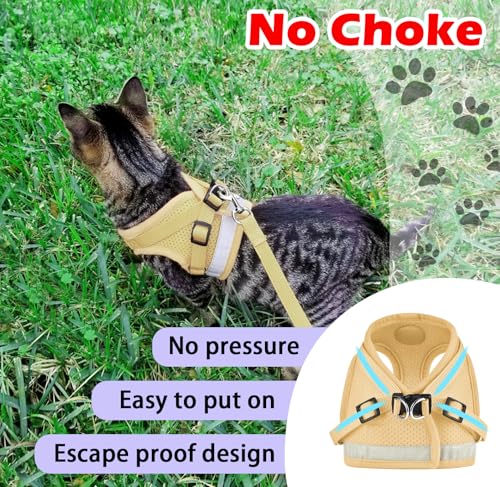 Cat Harness and Leash Set (XS (Chest: 6" - 8") / DarkCream)