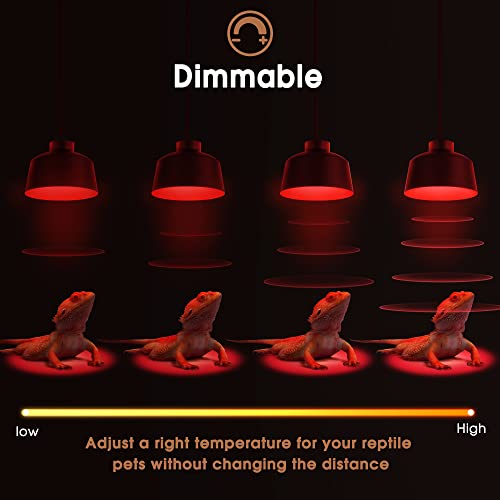 G9 Infrared Heat Lamp Bulbs for Reptile Mini Reptile Light Red (Red Bulb / 2 Pack)