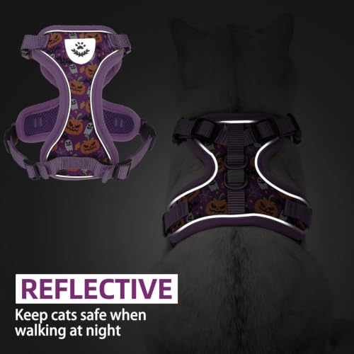 Halloween Cat Harness and Leash Set Escape Proof Reflective Cat Walking Harness Adjustable Soft Breathable Mesh Vest for Small Pets (M (NECK 11"-13.7", CHEST 16"-20") / Purple(Halloween))