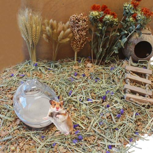 Hamster Bath Sand (15.4lb / Beige)
