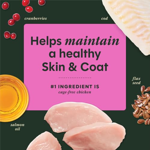 Raw Boost Mixers Skin & Coat Health Freeze (12.5 Ounce (Pack of 1))