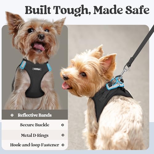 Dog Harness Small Sized and Leash Set (Black / Xxxs (chest: 10.8 - 11.8"))
