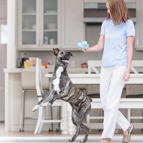 Zogoflex Tux Interactive Treat Dispensing Dog Chew Toy for Aggressive Chewers (Aqua Blue / Large)