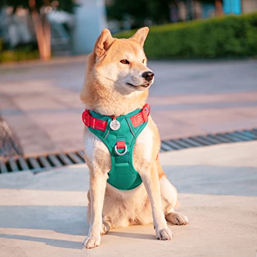 No Pull Dog Harness (Dark Green Base & Red Straps / Small)