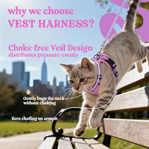 Cat Harness and Leash Set (Xs / Pink & Light Purple)