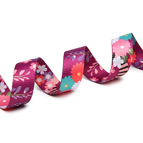 Adjustable Dog Collar (Medium / Colorful Flower)