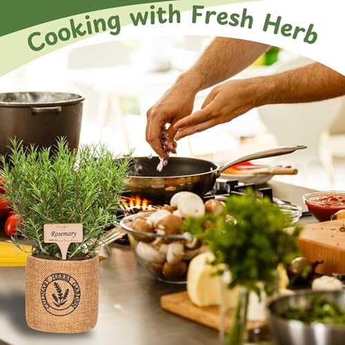 Herb Indoor Garden Kit (Basil, Parsley, Mint, Thyme, Rosemary)