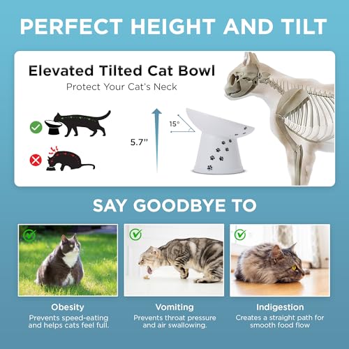 Necoichi Ceramic Elevated Cat Food Bowl (Cat / Large Extra Wide Tilted)