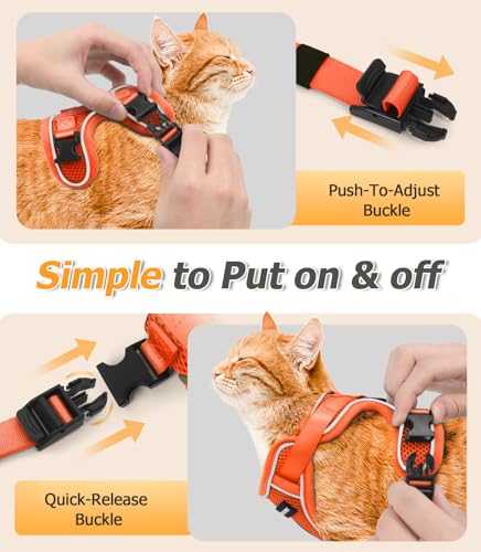 Cat Harness and Leash Set (H600 Pro Orange / X-Small (4-6lb))