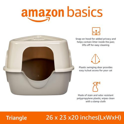 Cat Litter Box with Lid