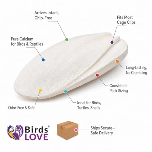 7.5 8" Cuttlebones for Birds