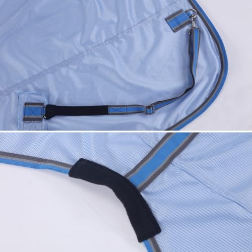 Horse Fly Sheet (Light Blue / 78)