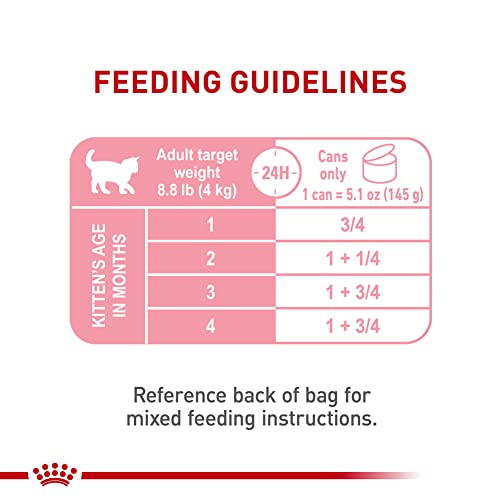 Feline Health Nutrition Mother & Babycat Queen Ultra Soft Mousse in Sauce Cat Food (5.1 Ounce (Pack of 24))