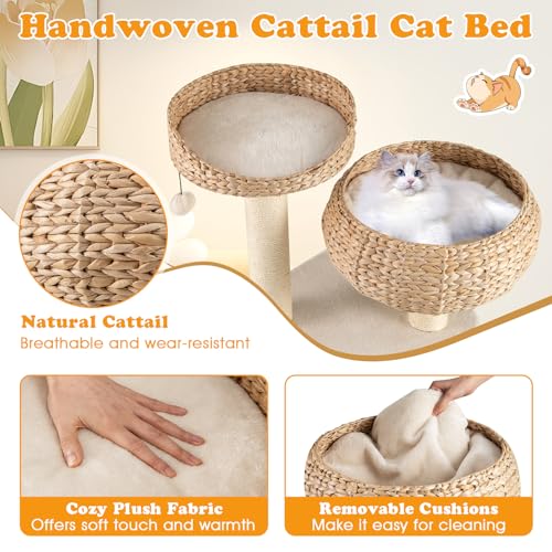41 Inch Modern Cat Tree for Indoor Cats (41 inches / Beige)