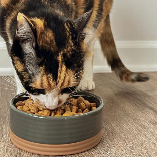 Ceramic Pet Bowl Size Small (Small / Charcoal)