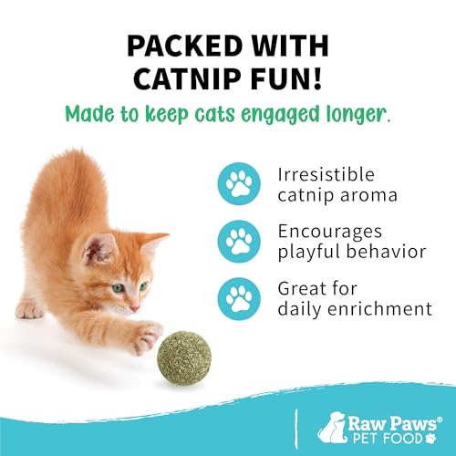 Catnip Balls for Cats (6-pack)