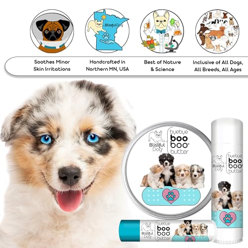 BB-AUSSIE-16OZ Springer Boo Butter (16 Ounce / Australian Shepherd)