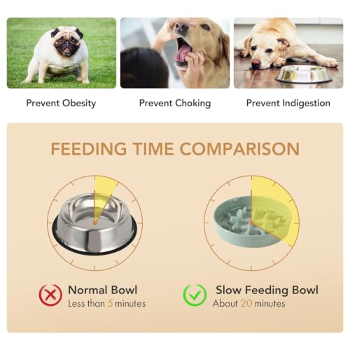 Ceramic Slow Feeder Dog Bowls (Light Green)