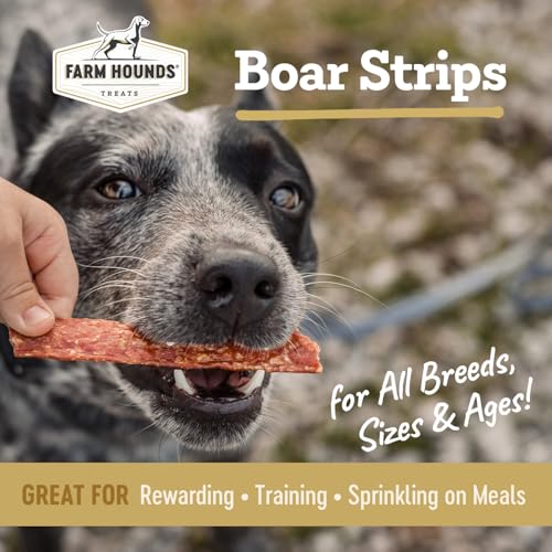 Boars Strips Premium Natural Boar Jerky for Dogs (4.5 Ounce (Pack of 1))
