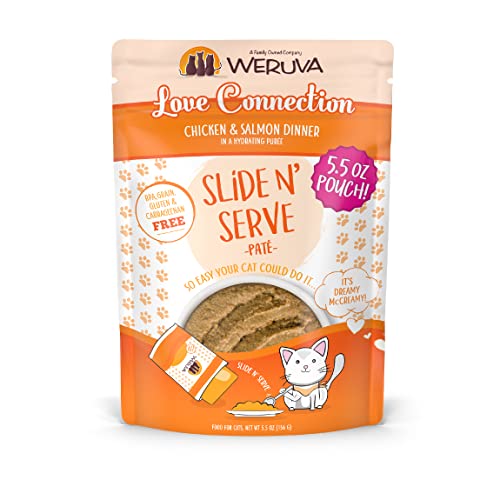 Wet Cat Food Love Connection with Chicken and Salmon Pate (5.5 Ounce (Pack of 12))