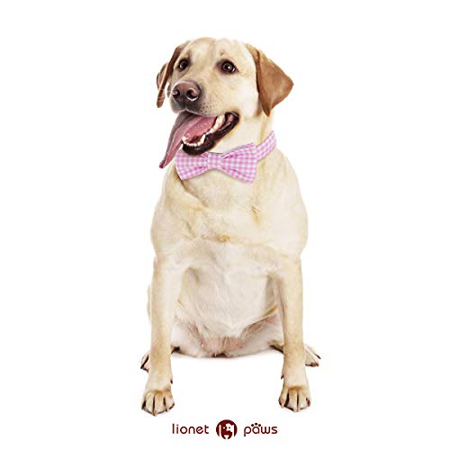 Dog Collar with Bowtie (Pink Grid / X-Small (Pack of 1))