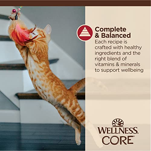 CORE Tiny Tasters Minced Adult Wet Cat Food (1.75 Ounce (Pack of 12))