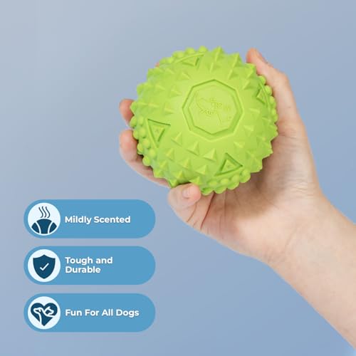 Squeaky Dog Toys with Soft Durable Fabric for Small (Green / Large)