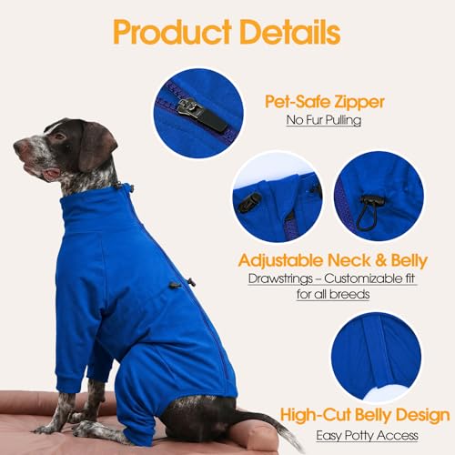 Recovery Suit for Large Dogs (Blue / L)