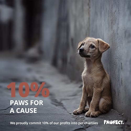 Dog Poop Bags Rolls (480 Bags)