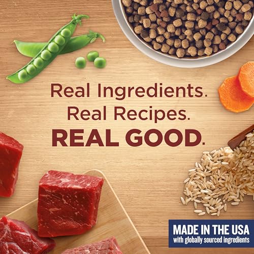 Dry Dog Food Beef (5 Pound (Pack of 1))