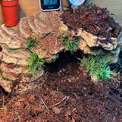 Turtle Basking Platform (Rustic)