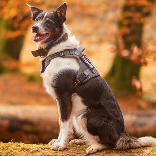 Tactical Dog Harness for Small Dogs (S(Chest:16.1"-31.5",Neck:15.4"-21.6",Back:7.1") / Rose Red)