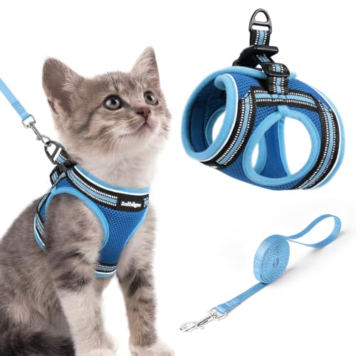Cat Harness and Leash Set (S / Blue & Light Blue)