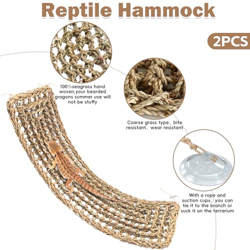 Bearded Dragon Hammock