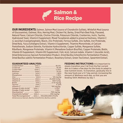 CORE+ Digestive Health Adult Dry Cat Food (11 Pound (Pack of 1))