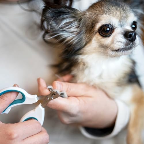 Cat Nail Clipper