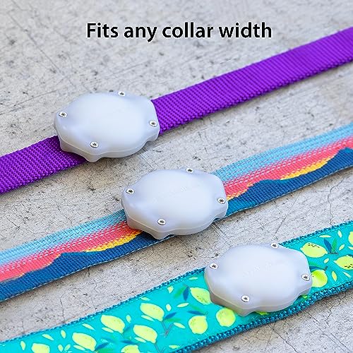 AirTag Dog Collar Holder (2 Pack (Glow in the Dark))